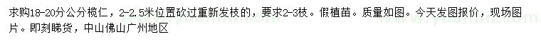 求購(gòu)18-20分公分欖仁