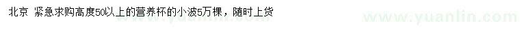 求購高50公分以上小檗