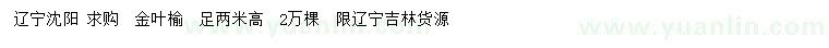 求購高2米金葉榆