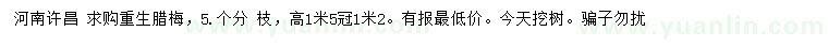 求購高1.5米叢生臘梅