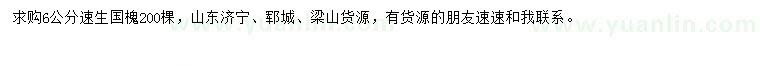 求購6公分速生國槐
