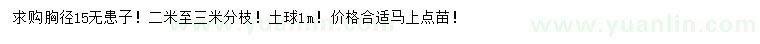 求購胸徑15公分無患子