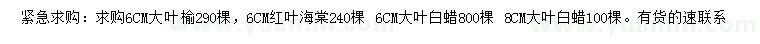 求購大葉榆、紅葉海棠、大葉白蠟等