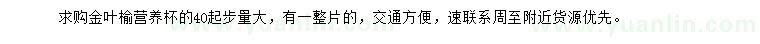 求購(gòu)40公分起步金葉榆