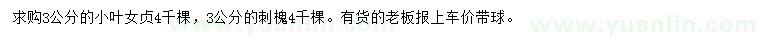求購(gòu)3公分大葉女貞、刺槐
