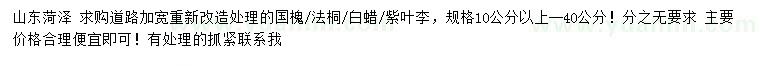 求購國槐、法桐、白蠟等