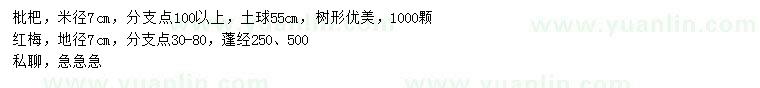 求購米徑7公分枇杷、地徑7公分紅梅