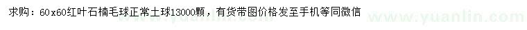 求購60*60紅葉石楠毛球