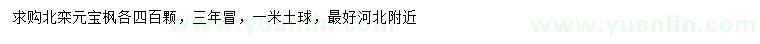 求購北欒、元寶楓