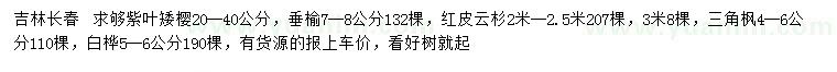 求購紫葉矮櫻、垂榆、紅皮云杉等