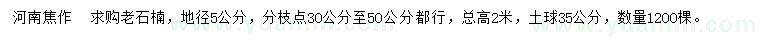 求購地徑5公分老石楠