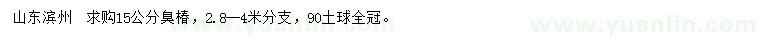 求購(gòu)15公分臭椿