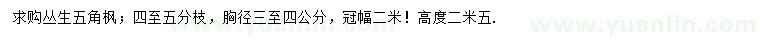 求購胸徑3-4公分叢生五角楓