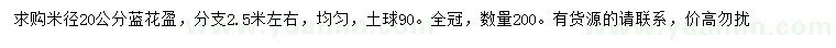 求購米徑20公分藍(lán)花盈