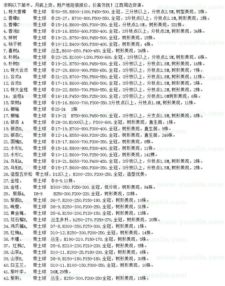 求購(gòu)香樟、香泡、櫸樹(shù)等