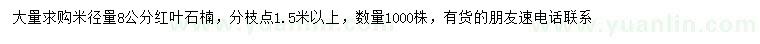求購米徑量8公分紅葉石楠