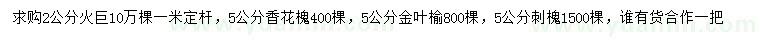 求購(gòu)火炬、香花槐、金葉榆等