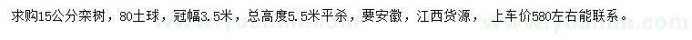 求購(gòu)15公分欒樹(shù)