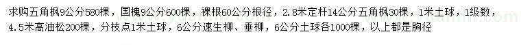 求購五角楓、國槐、油松等