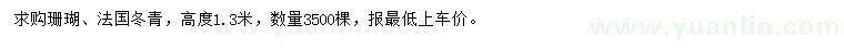 求購(gòu)高1.3米法國(guó)冬青