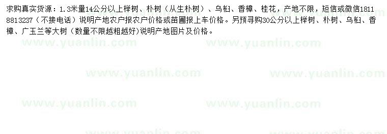 求購櫸樹、樸樹、烏桕等