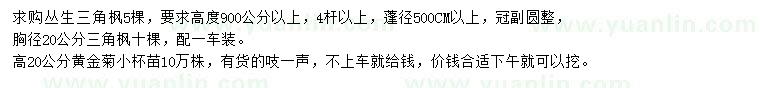 求購叢生三角楓、三角楓、黃金菊