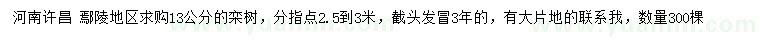 求購13公分欒樹