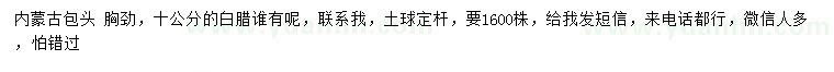 求購(gòu)胸徑10公分白臘