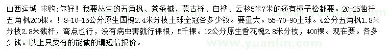 求購叢生五角楓、茶條槭、蒙古櫟等