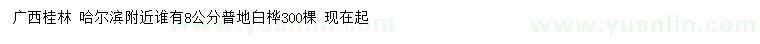 求購(gòu)8公分普地白樺