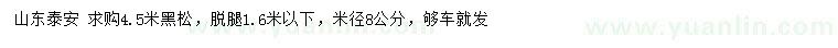 求購(gòu)4.5米黑松