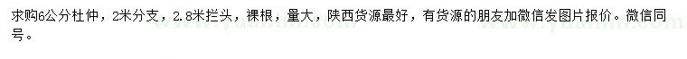 求購6公分杜仲