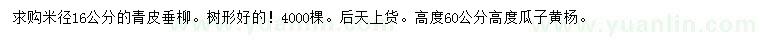 求購(gòu)米徑16公分青皮垂柳、高60公分瓜子黃楊