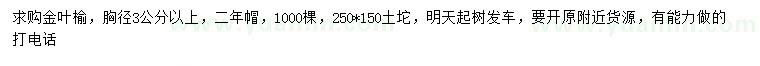求購胸徑3公分以上金葉榆