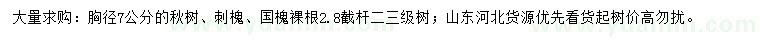 求購(gòu)楸樹(shù)、刺槐、國(guó)槐