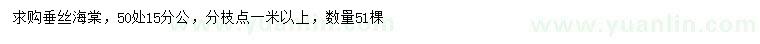 求購(gòu)50量15分公垂絲海棠