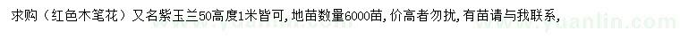求購(gòu)高50-100公分紫玉蘭（紅色木筆花）