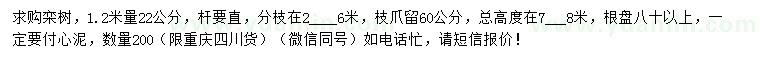 求購1.2米量22公分欒樹