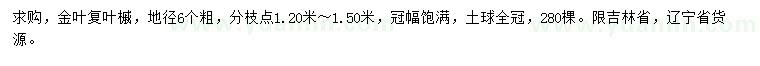 求購地徑6公分金葉復葉槭