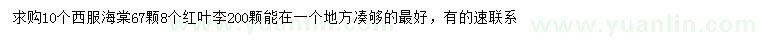 求購10公分西府海棠、8公分紅葉李