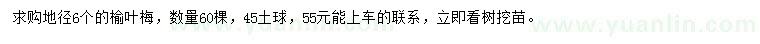 求購地徑6公分榆葉梅