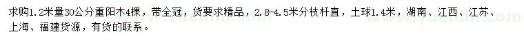 求購1.2米量30公分重陽木