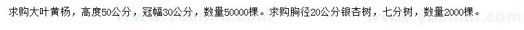 求購高50公分大葉黃楊、胸徑20公分銀杏