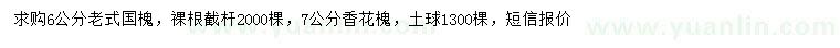 求購(gòu)6公分老式國(guó)槐、7公分香花槐