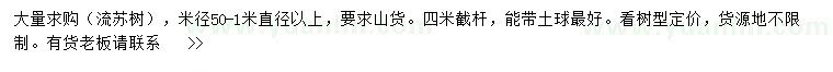 求購(gòu)米徑50-100公分以上流蘇樹(shù)