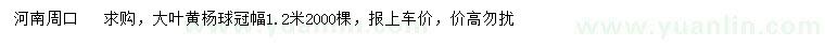 求購冠幅1.2米大葉黃楊球