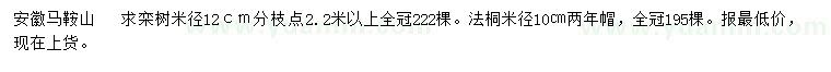 求購(gòu)米徑12公分欒樹(shù)、10公分法桐