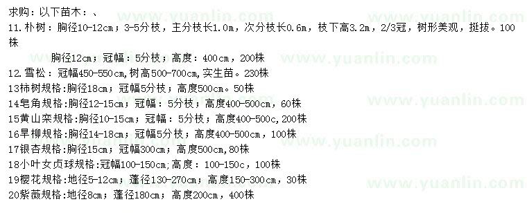 求購(gòu)樸樹(shù)、雪松、柿樹(shù)等