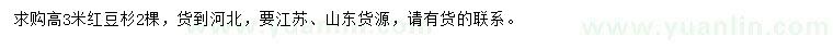 求購高3米紅豆杉
