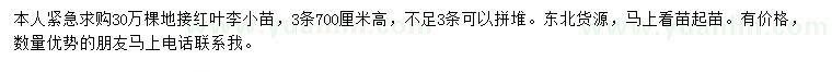 求購(gòu)地接紅葉李小苗